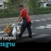 กทม.ชี้แจงทางข้าม-ทางม้าลาย-ได้มาตรฐานทุกที่-–-pptvhd36