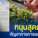 สำรวจของกลางทุจริต-รถ-เรือดับเพลิง-กทม.