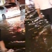 ฝนถล่มกรุง!-หลายพื้นที่น้ำท่วม-รอระบาย-ถนนจมบาดาลทำรถติดสาหัส